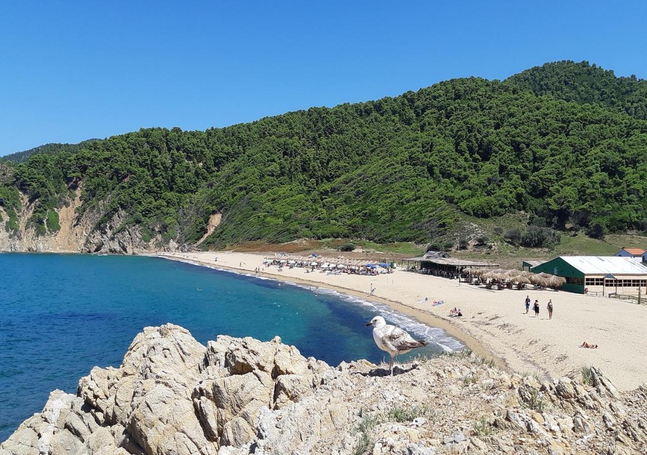 Villa Nikos コウコウナリス エクステリア 写真
